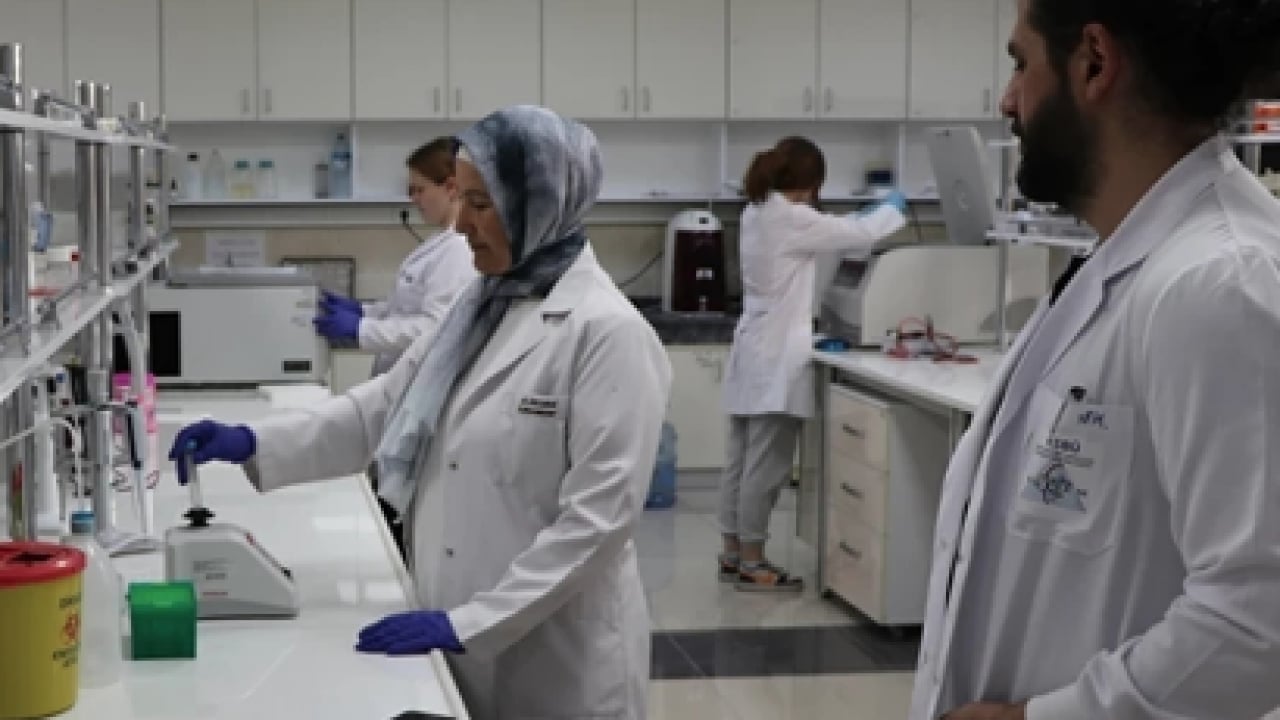 Foto - Aman dikkat artık: Uzmanlar uyarıyor: Kanserlerin bir kısmı değiştirilebilir risk...