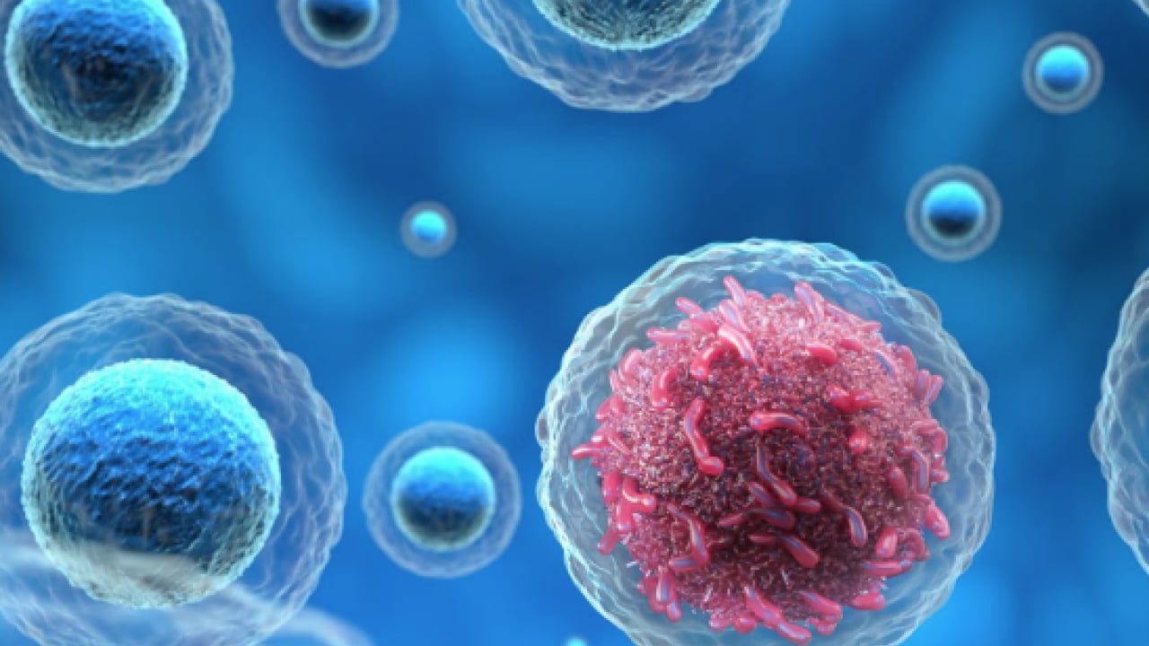 Foto - Aman dikkat artık: Uzmanlar uyarıyor: Kanserlerin bir kısmı değiştirilebilir risk...