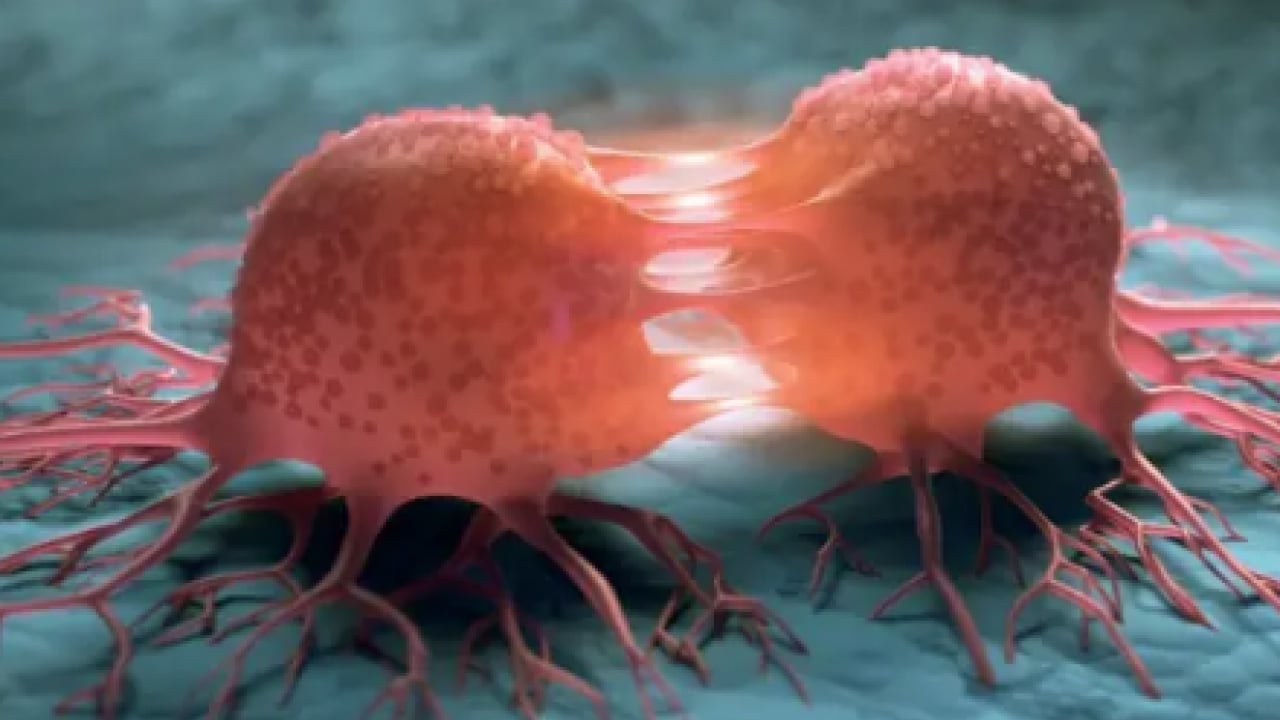 Foto - Aman dikkat artık: Uzmanlar uyarıyor: Kanserlerin bir kısmı değiştirilebilir risk...