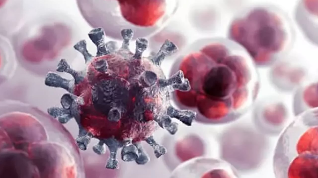 Aman dikkat artık: Uzmanlar uyarıyor: Kanserlerin bir kısmı değiştirilebilir risk...