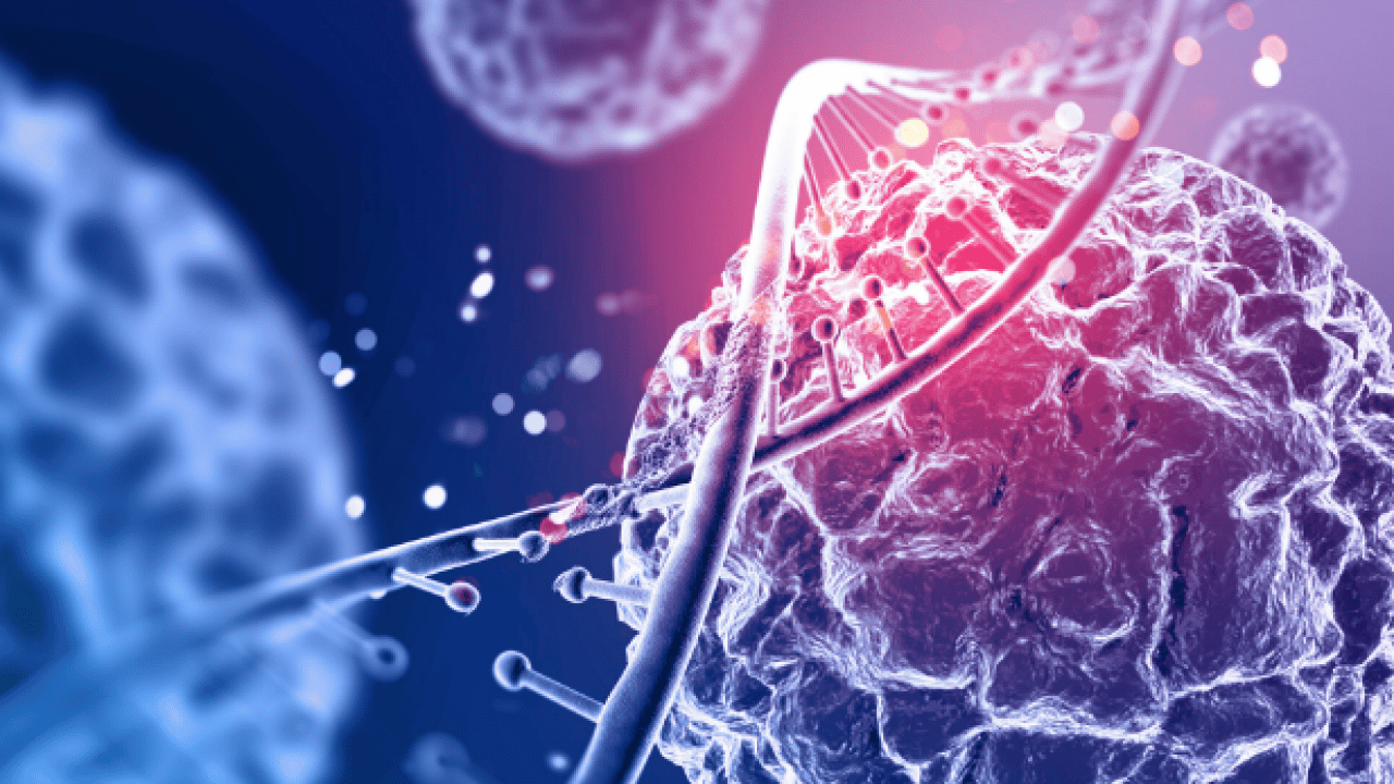 Foto - Aman dikkat artık: Uzmanlar uyarıyor: Kanserlerin bir kısmı değiştirilebilir risk...