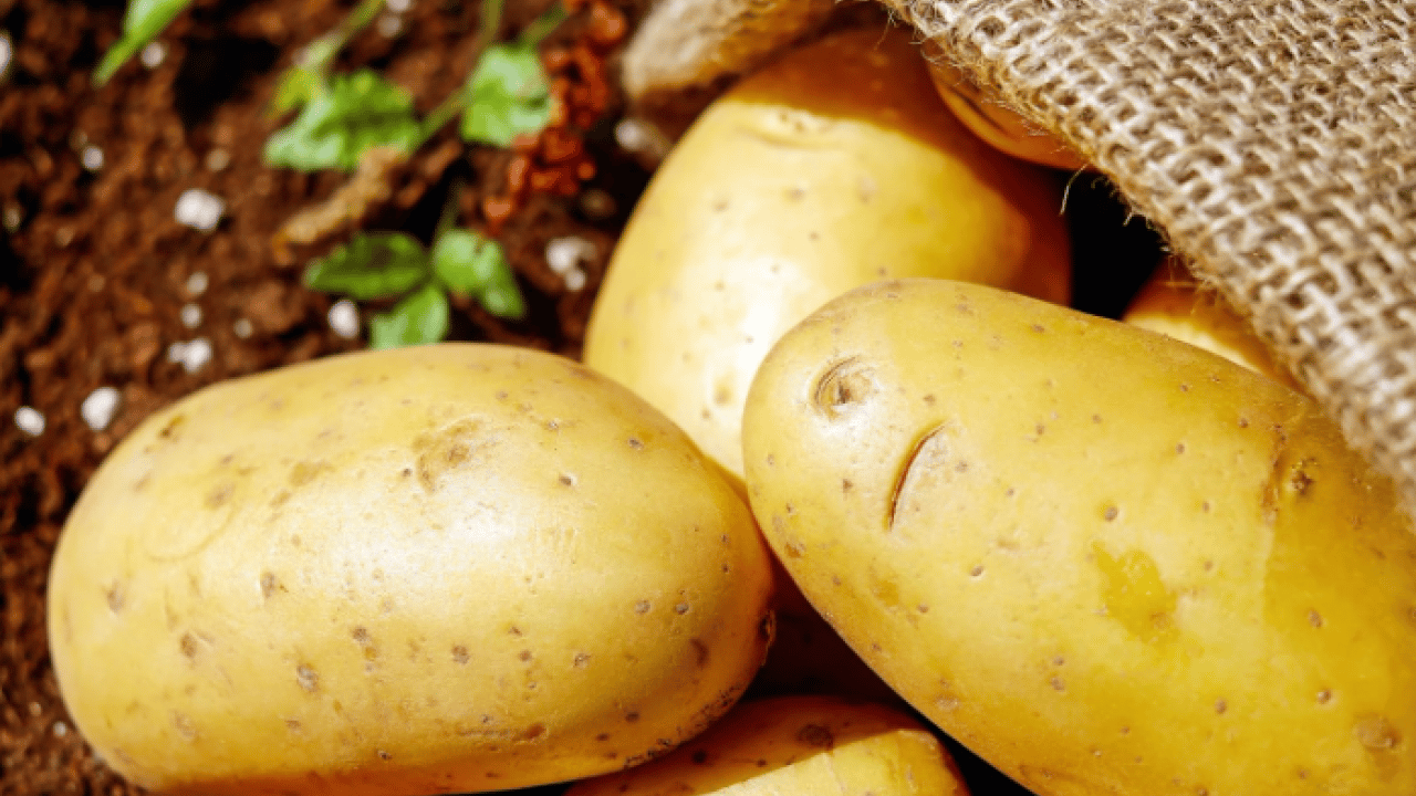 Foto - Aman dikkat! Taze kalsın derken çöp olmasın! İşte buzdolabında sağlıklı yapılarını kaybeden besinler