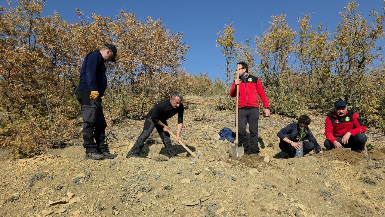 Foto - Amasya'da kargo uçağı şehitlerine vefa: 20 askerin adı dikilen fidanlarda yaşayacak
