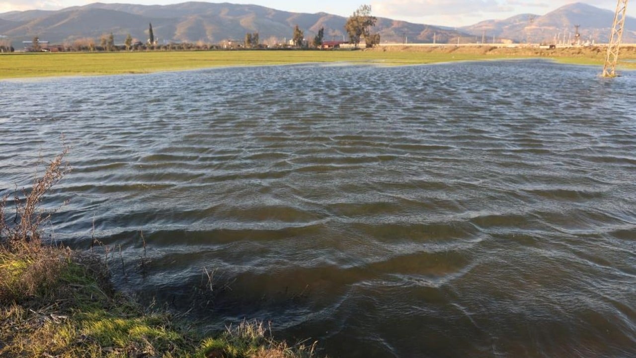 Amik Ovası'nı önce kuraklık vurdu şimdi de aşırı yağış!