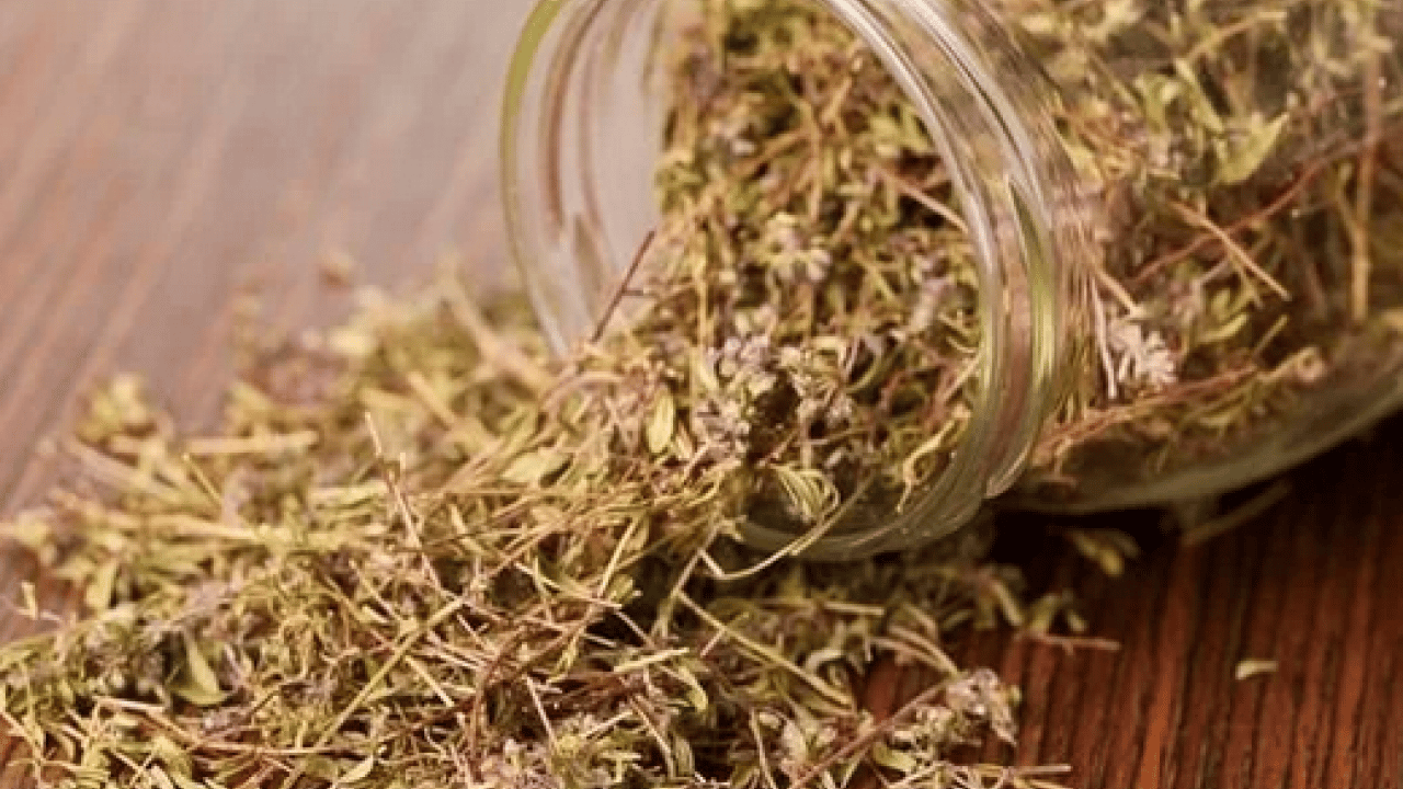 Foto - Anadolu'dan dünyaya yayılan kekik o hastalığın şifa kaynağı olacak! Kekikteki karvakrol... Kekik bitkisi, doğal destek