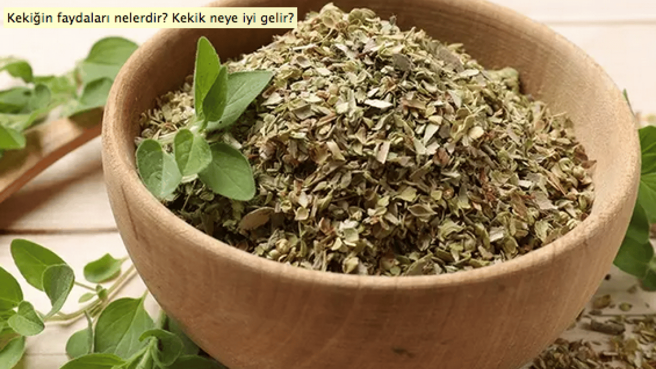 Foto - Anadolu'dan dünyaya yayılan kekik o hastalığın şifa kaynağı olacak! Kekikteki karvakrol... Kekik bitkisi, doğal destek