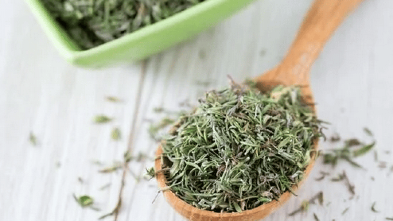 Foto - Anadolu'dan dünyaya yayılan kekik o hastalığın şifa kaynağı olacak! Kekikteki karvakrol... Kekik bitkisi, doğal destek