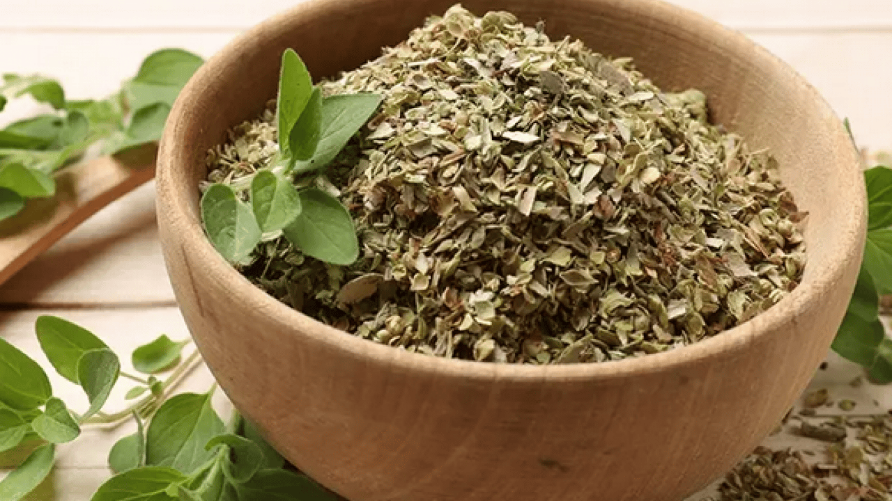 Foto - Anadolu'dan dünyaya yayılan kekik o hastalığın şifa kaynağı olacak! Kekikteki karvakrol... Kekik bitkisi, doğal destek