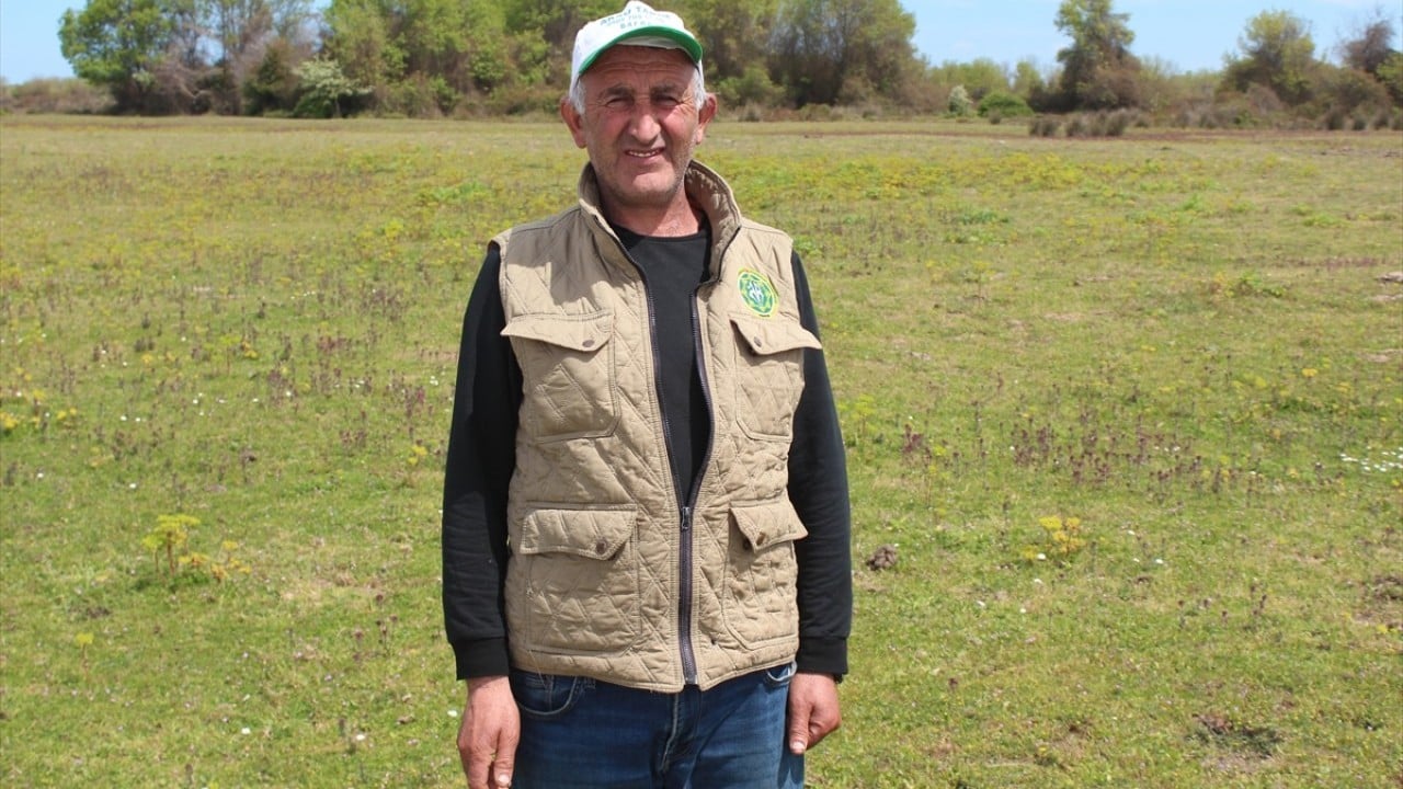 Foto - Anadolu'nun cömert ev sahibi Yayla göçünde sürülere nefes oluyor