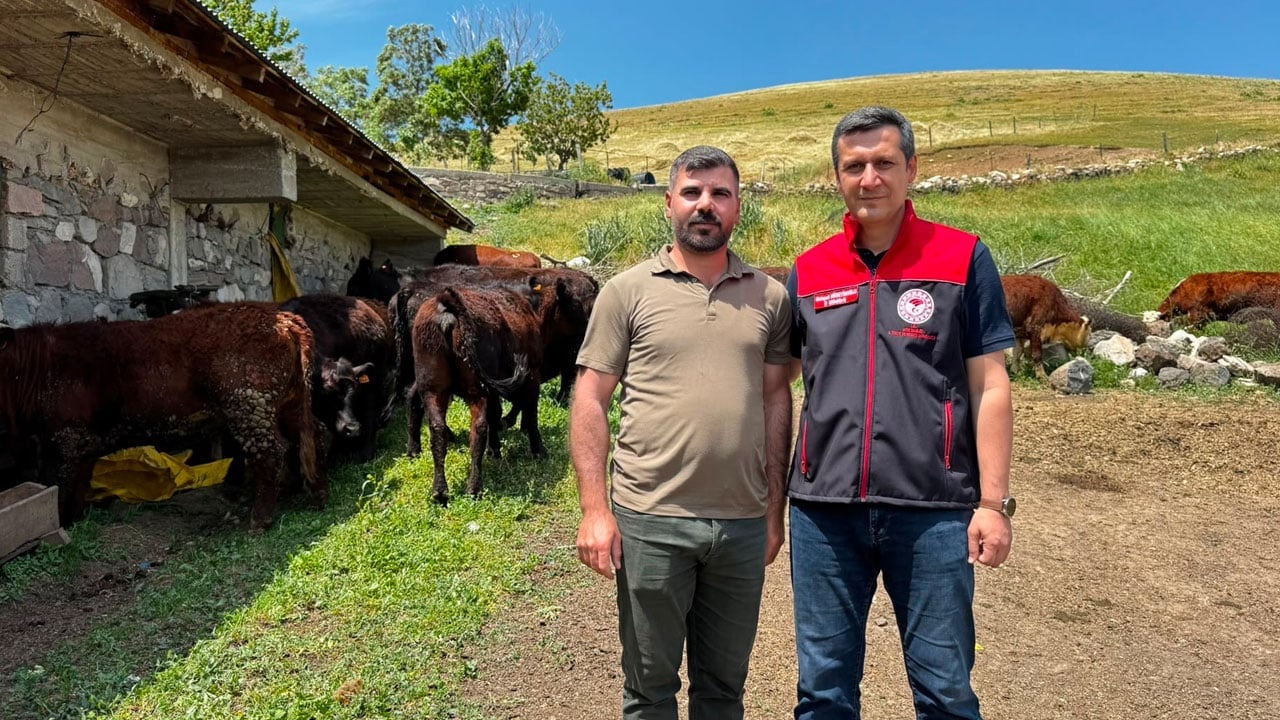 Foto - Angus ve Hereford düveler teslim edildi! Kırsalda bereket kapısı açıldı