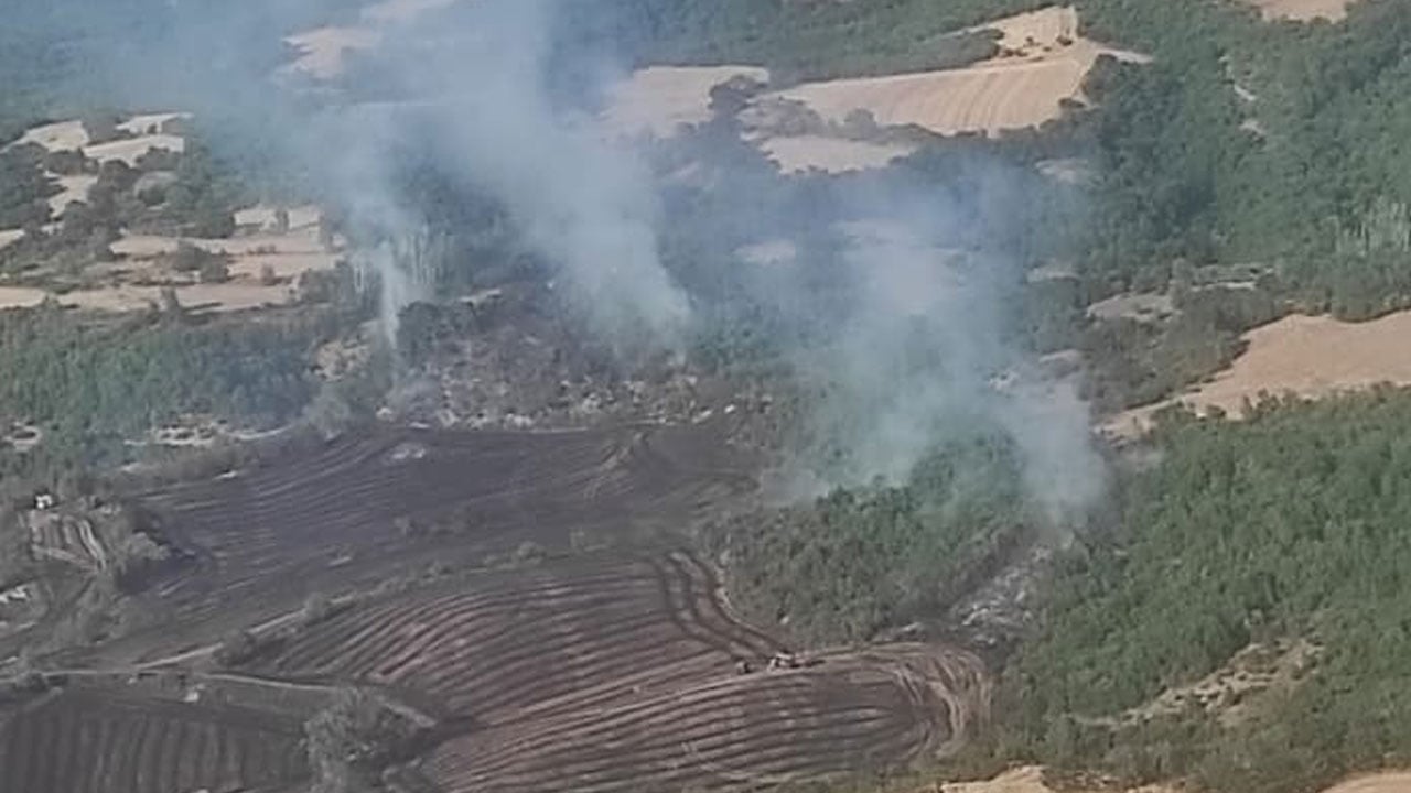 Foto - Anız yangını ormana sıçradı! O ilimizde 90 dekar alan zarar gördü