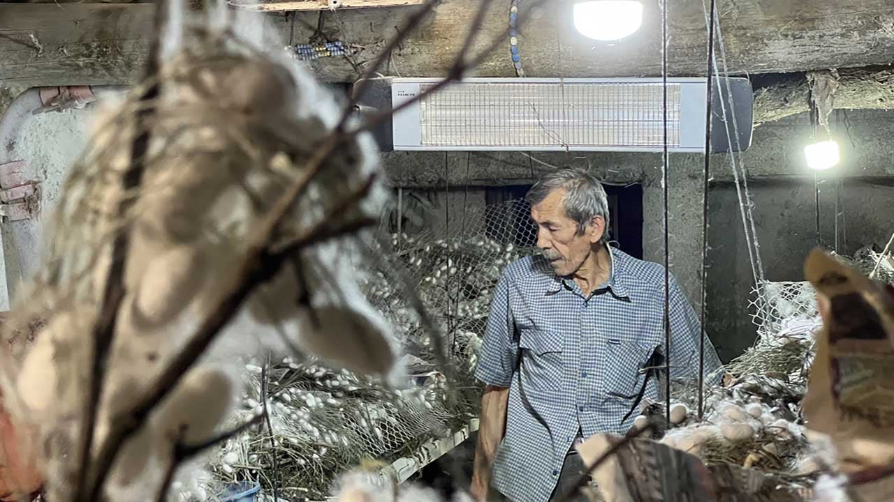 Foto - Ankara'da 60 yıllık ata mesleğine ömür adadı! Nallıhanlı Ahmet Öztürk, ipek böceği kozasından 216 bin lira gelir sağladı