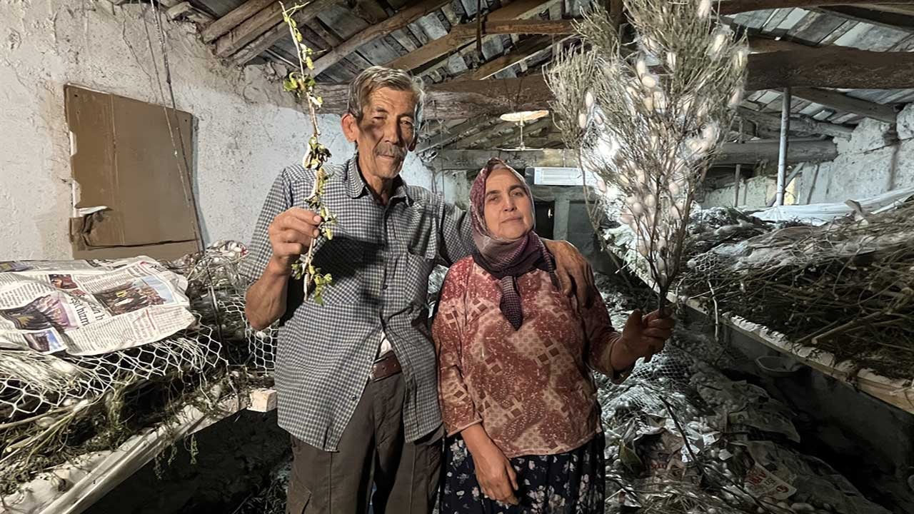 Foto - Ankara'da 60 yıllık ata mesleğine ömür adadı! Nallıhanlı Ahmet Öztürk, ipek böceği kozasından 216 bin lira gelir sağladı