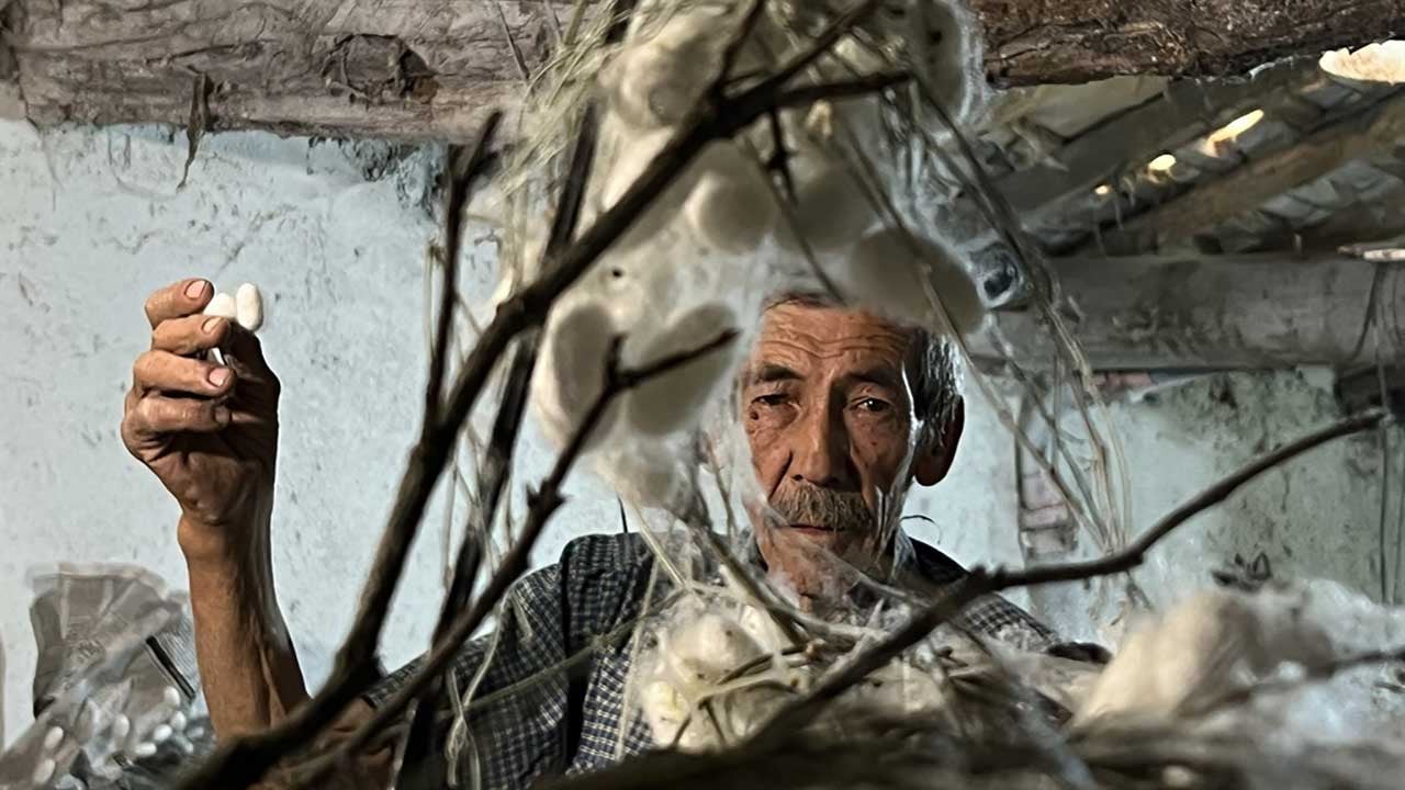 Foto - Ankara'da 60 yıllık ata mesleğine ömür adadı! Nallıhanlı Ahmet Öztürk, ipek böceği kozasından 216 bin lira gelir sağladı