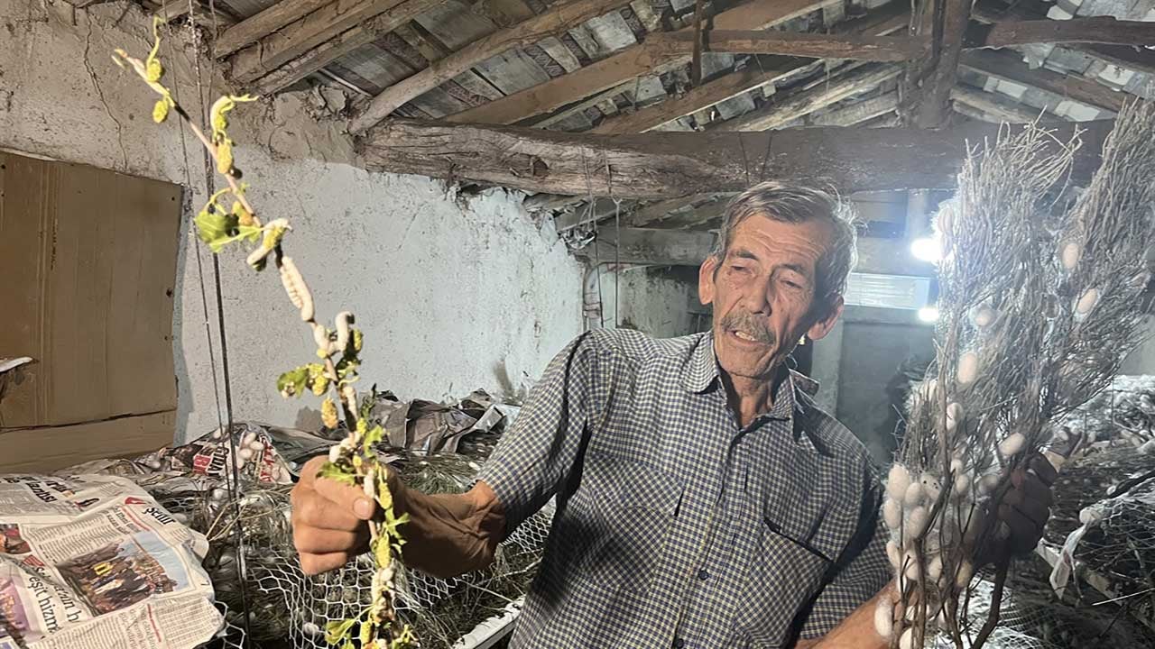 Ankara'da 60 yıllık ata mesleğine ömür adadı! Nallıhanlı Ahmet Öztürk, ipek böceği kozasından 216 bin lira gelir sağladı