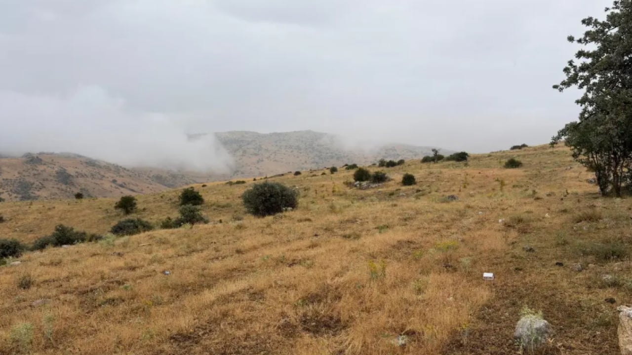 Ankara'da feci ölüm: Koyunlarını otlatmak isterken canından oldu!