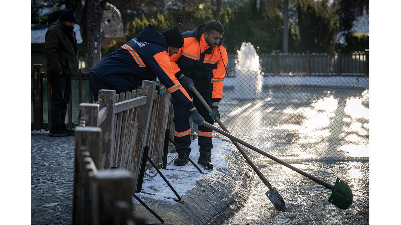 Foto - Ankara'da kuğular bile buz tuttu