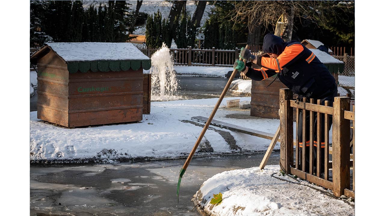 Foto - Ankara'da kuğular bile buz tuttu