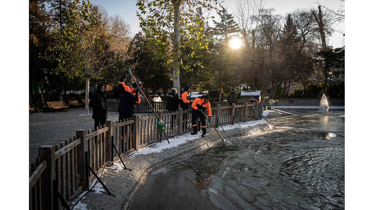 Foto - Ankara'da kuğular bile buz tuttu