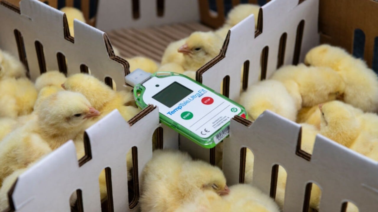 Foto - Ankara'ya geldiler: Amerikalılar Türk devinin yönetimini devralıyor