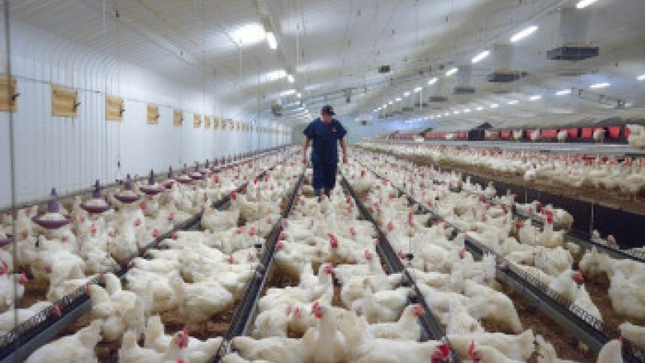 Foto - Ankara'ya geldiler: Amerikalılar Türk devinin yönetimini devralıyor