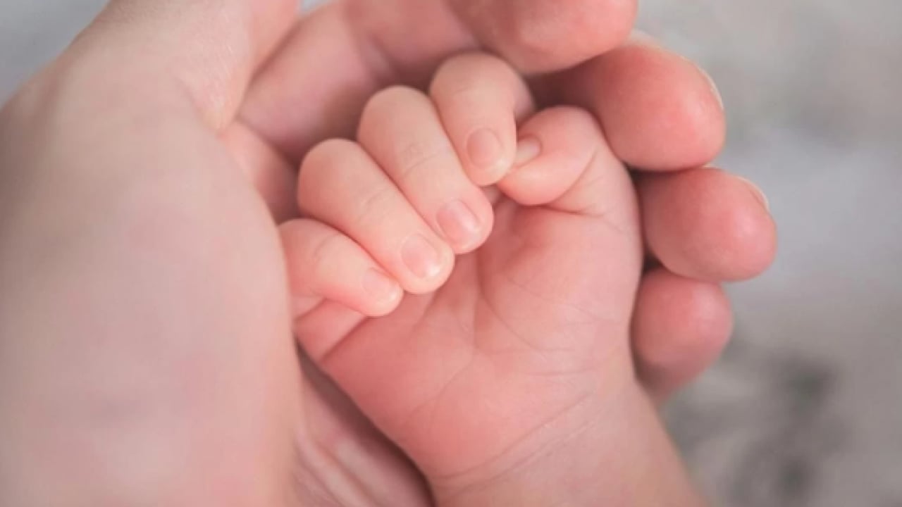 Foto - Annelere müjde: Doğum izni 24 hafta olacak! İşte detaylar ve tarih