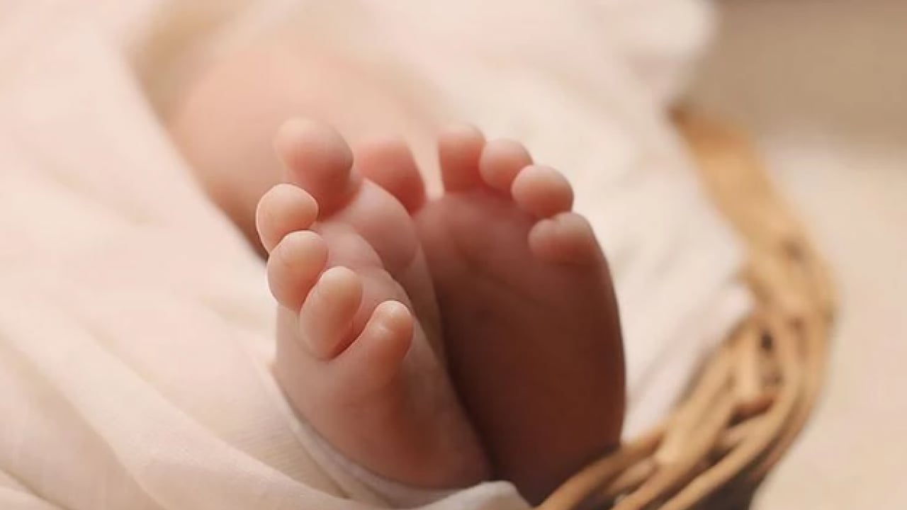 Foto - Annelere müjde: Doğum izni 24 hafta olacak! İşte detaylar ve tarih