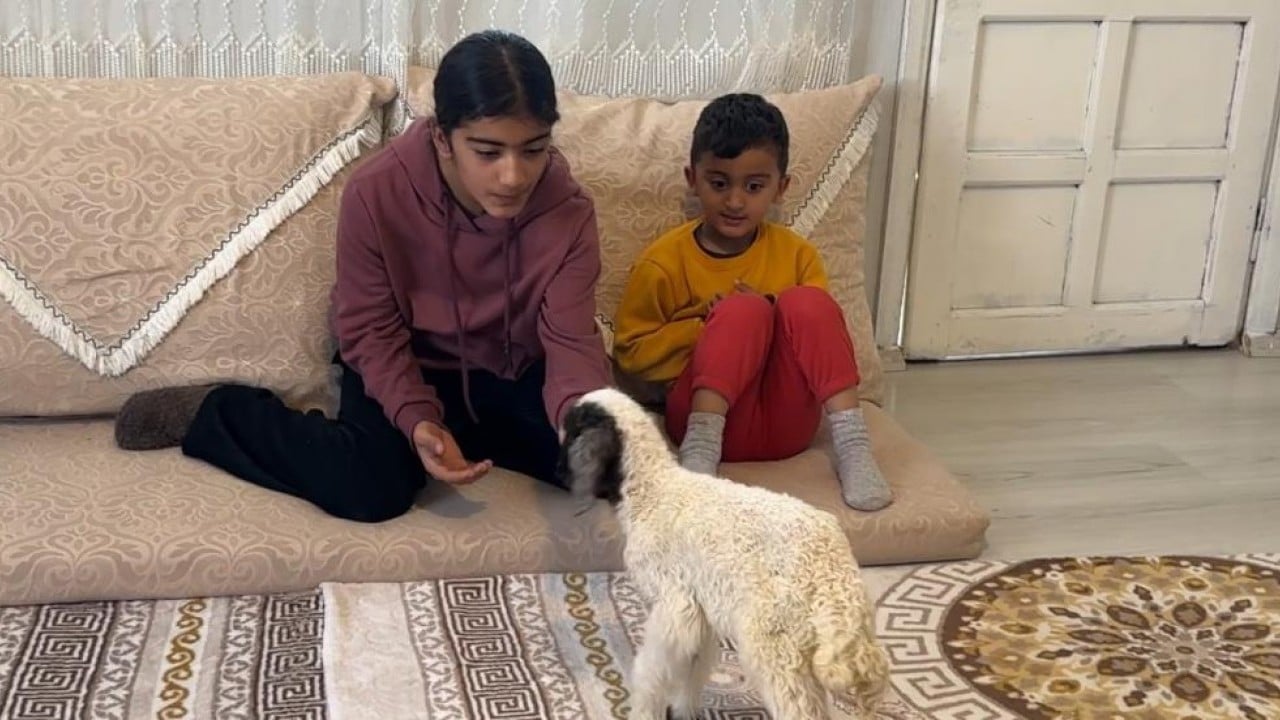 Foto - Annesiz kalan kuzu ailenin 'Umut'u oldu