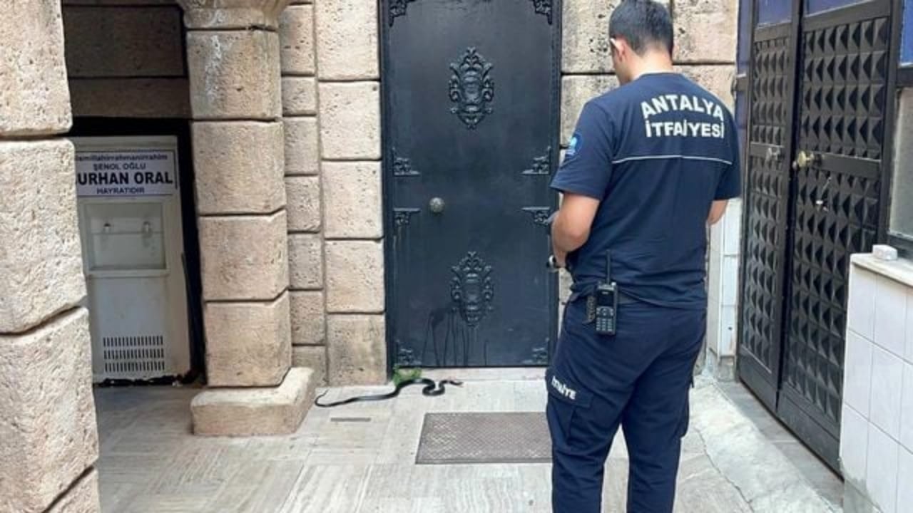 Foto - Antalya’da namaza gelen cemaati şoke eden manzara! Kimse gözlerine inanamadı