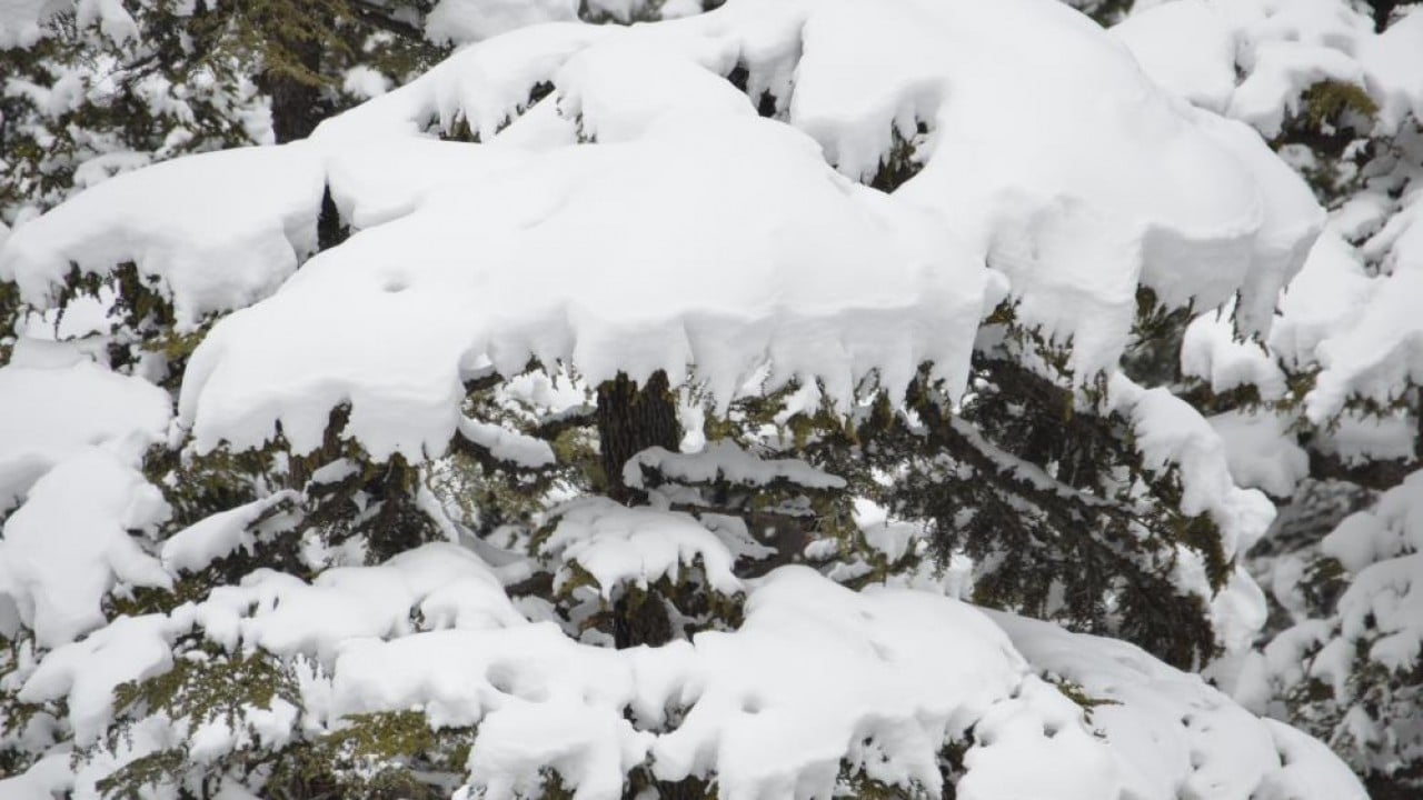 Foto - Antalya'da Nisan ayında kar sürprizi