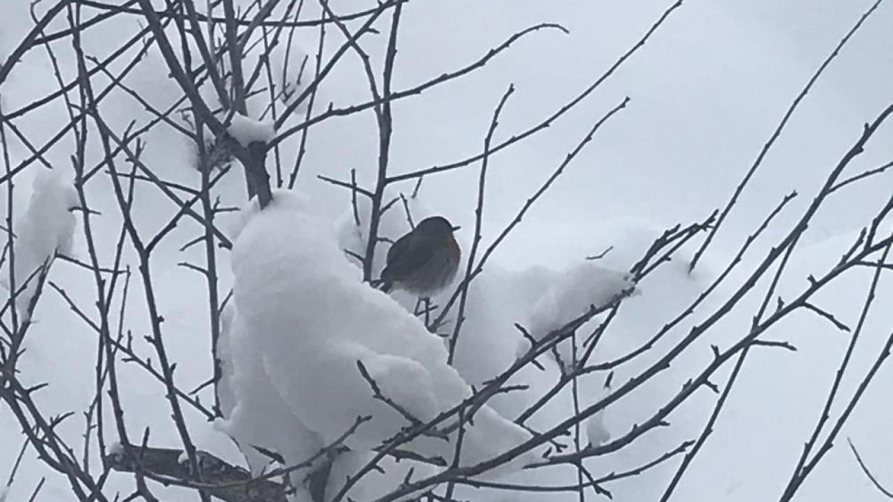 Foto - Antalya'da Nisan ayında kar sürprizi
