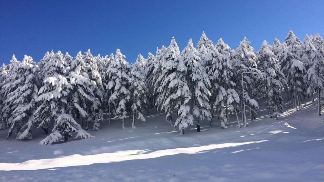 Foto - Antalya'da Nisan ayında kar sürprizi