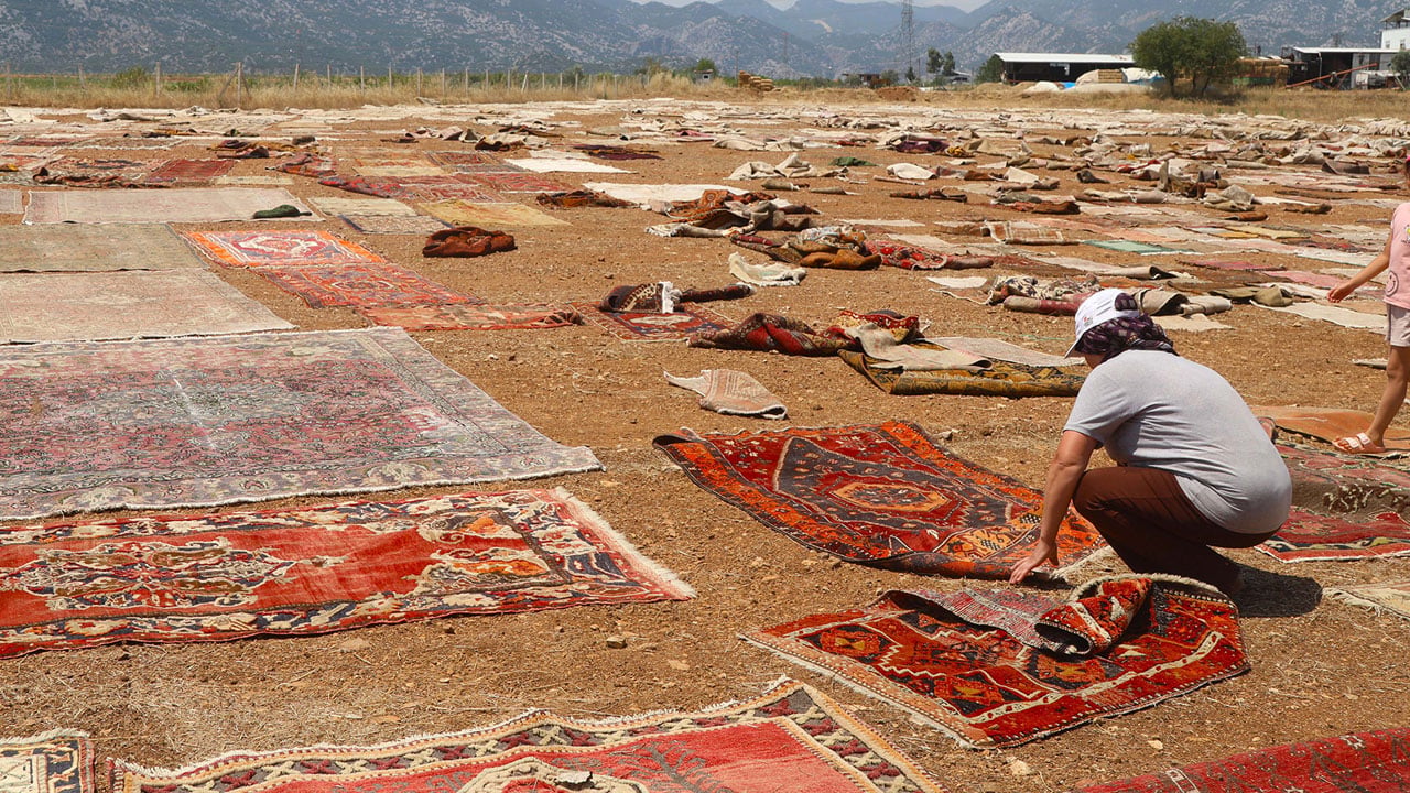 Foto - Antalya’da renkli ihracat mesaisi! Bu tarlada buğday değil, 5 bin dolarlık halılar serili