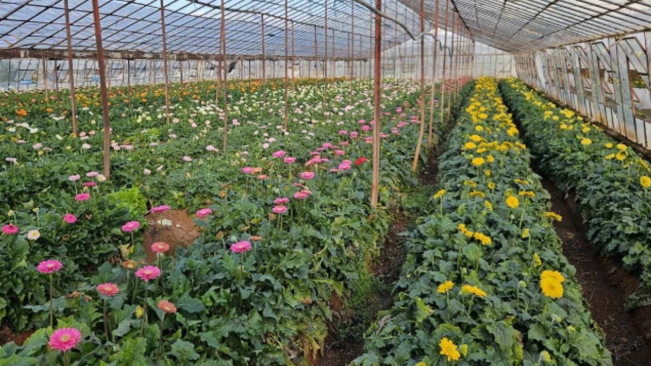 Foto - Antalya’dan dünyaya! İhracat rekoru kırıldı