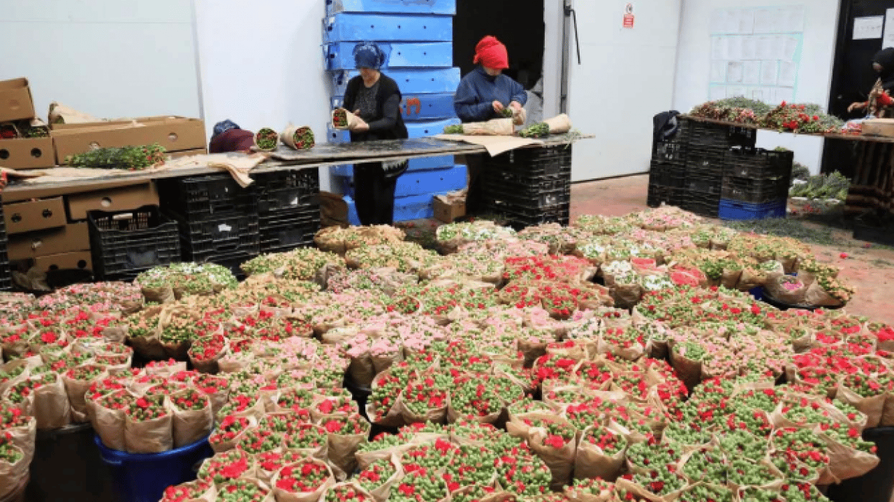 Antalya’dan dünyaya! İhracat rekoru kırıldı