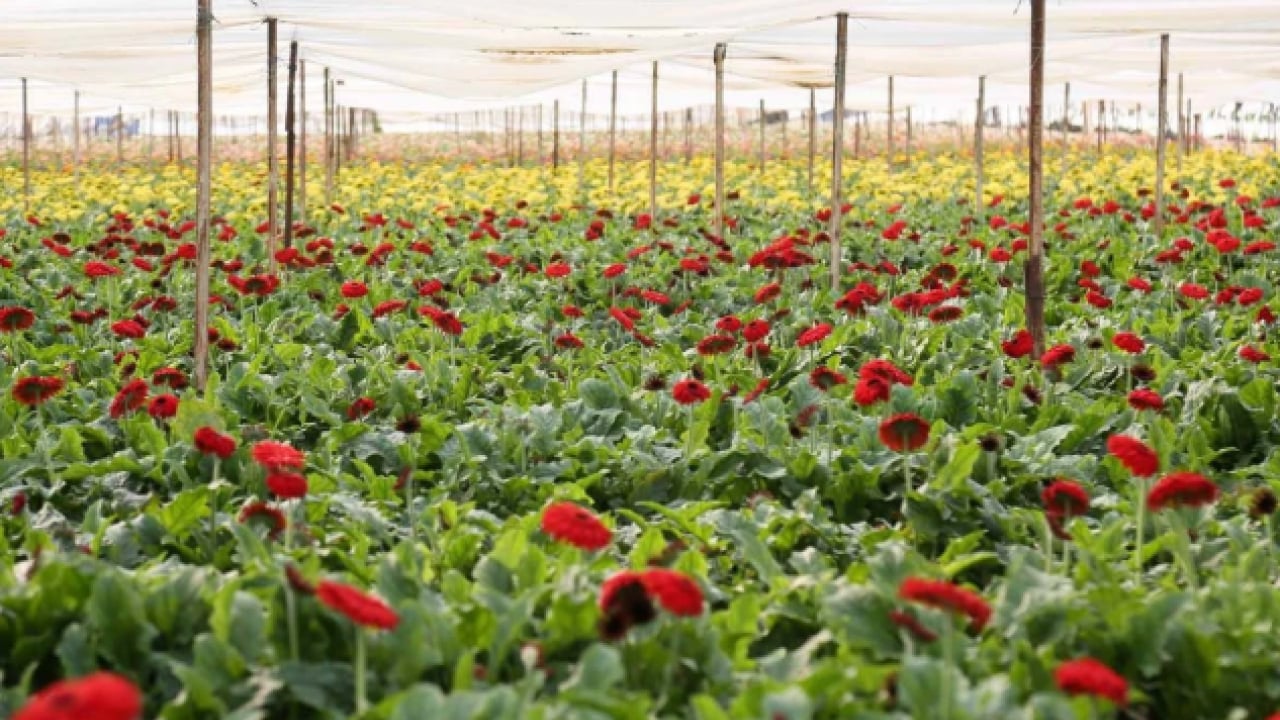 Foto - Antalya’dan dünyaya! İhracat rekoru kırıldı