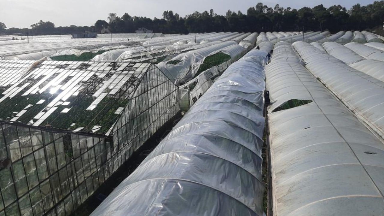 Foto - Antalya'yı hortum vurdu! Seralar bakın ne hale geldi