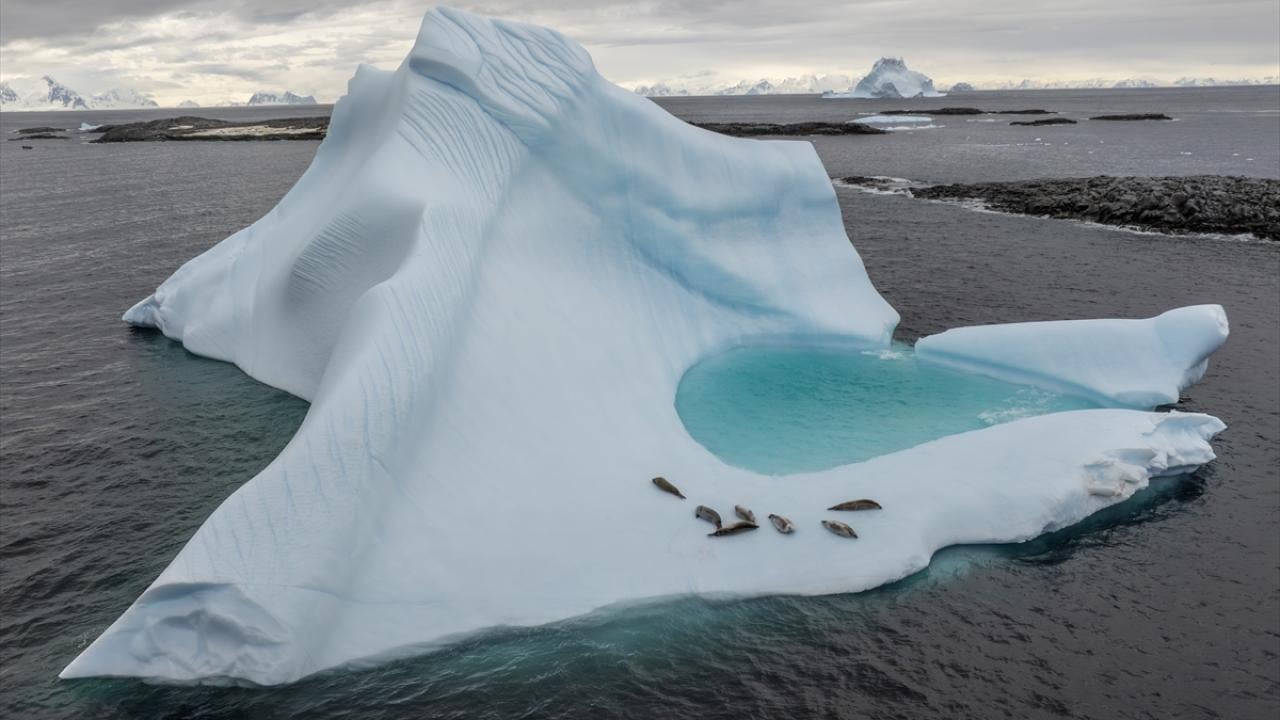 Foto - Antarktika’da bulunan Türk bilim insanları izlenimlerini anlattılar