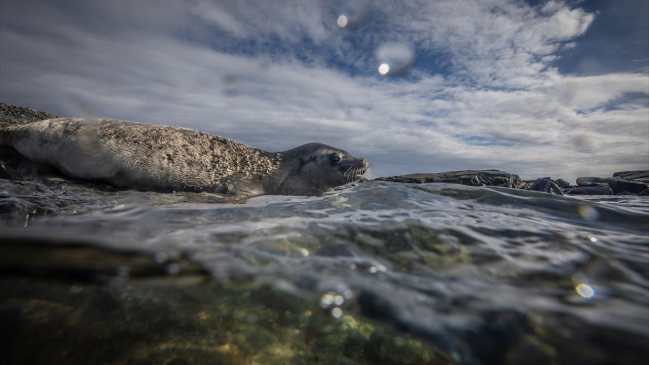 Foto - Antarktika’da bulunan Türk bilim insanları izlenimlerini anlattılar