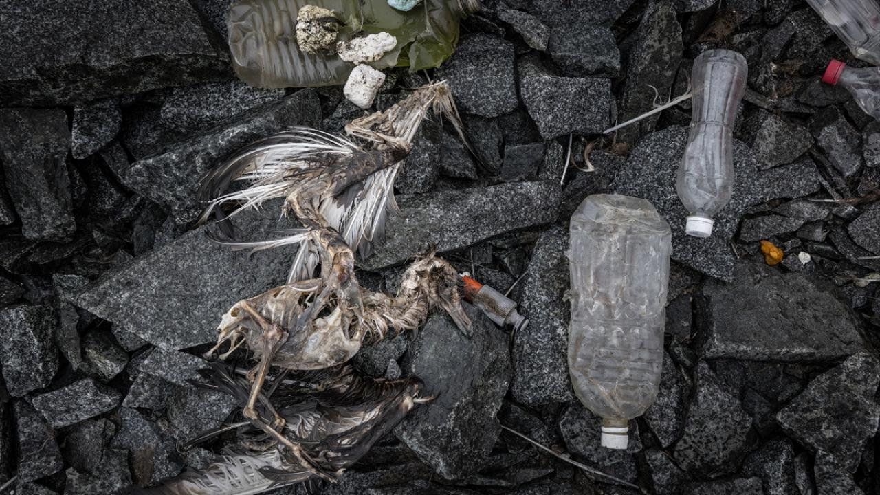Foto - Antarktika’da bulunan Türk bilim insanları izlenimlerini anlattılar