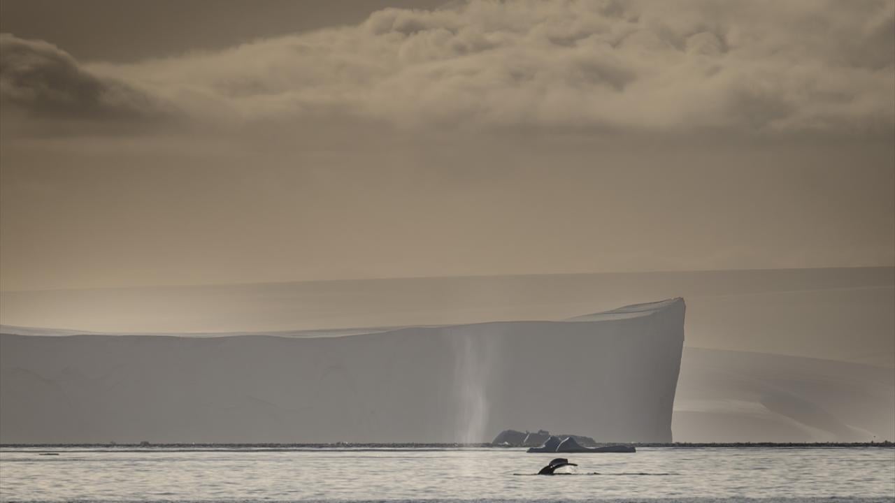 Foto - Antarktika’da bulunan Türk bilim insanları izlenimlerini anlattılar
