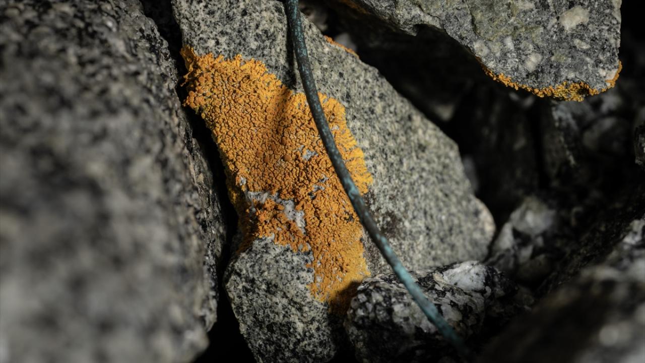 Foto - Antarktika’da bulunan Türk bilim insanları izlenimlerini anlattılar