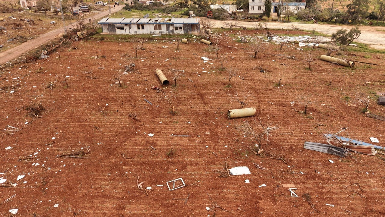 Foto - Antep fıstığı bahçelerinin son hali! ‘Var yılı’ sevinci dolu ve fırtınayla yarım kaldı
