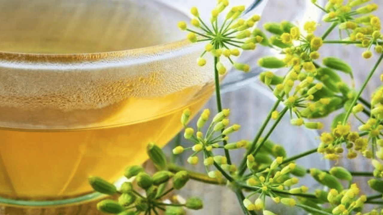 Foto - Antifungal ve antispazmodik gibi... Rezene çayı ne işe yarar? Rezene çayı faydaları nelerdir?