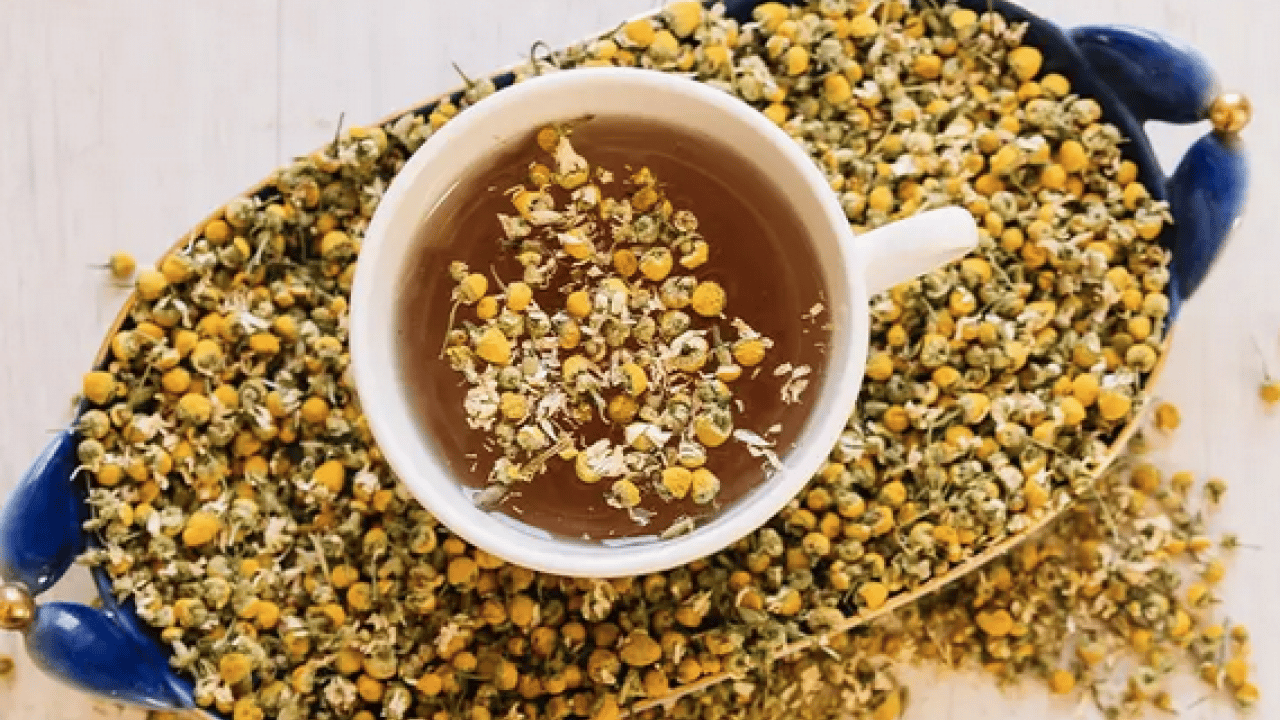 Foto - Antifungal ve antispazmodik gibi... Rezene çayı ne işe yarar? Rezene çayı faydaları nelerdir?