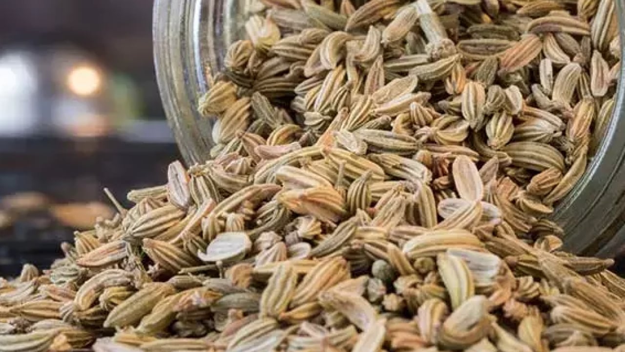 Foto - Antifungal ve antispazmodik gibi... Rezene çayı ne işe yarar? Rezene çayı faydaları nelerdir?