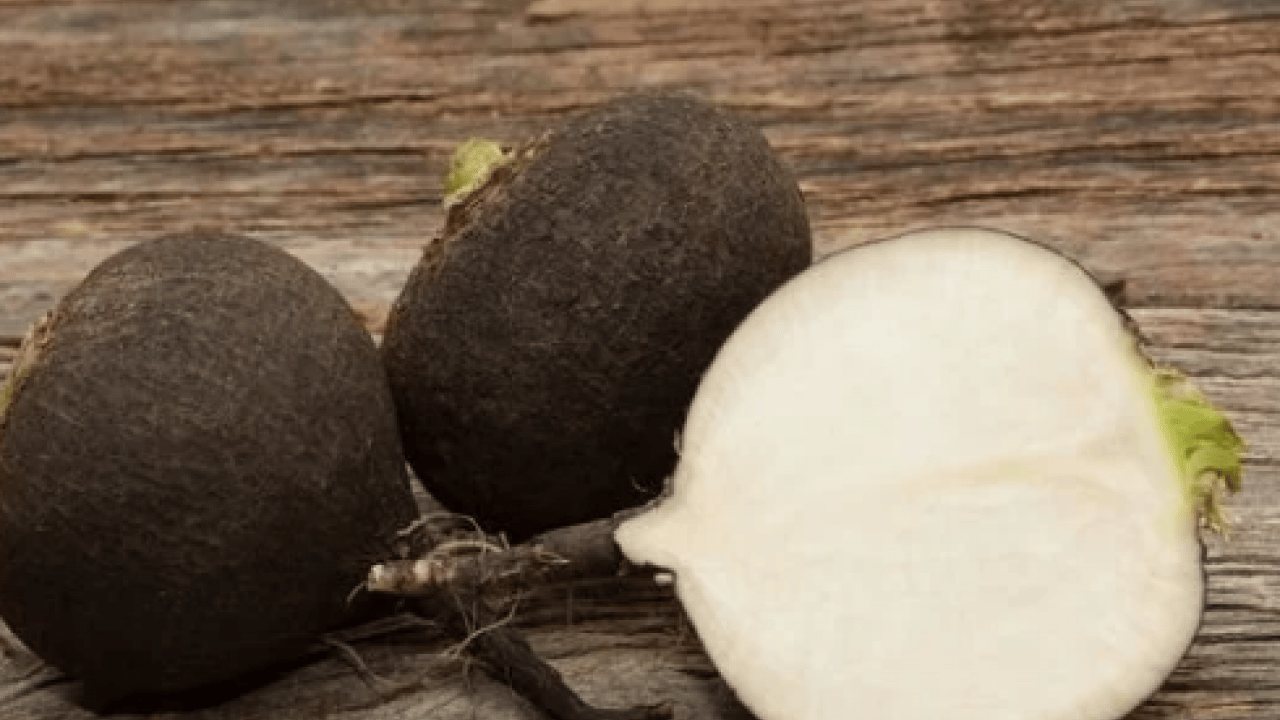 Foto - Antioksidan deposu, adını bilen yok: Bal döküp tüketin ve... Karaciğer yağlanmasının kökünü kurutuyor