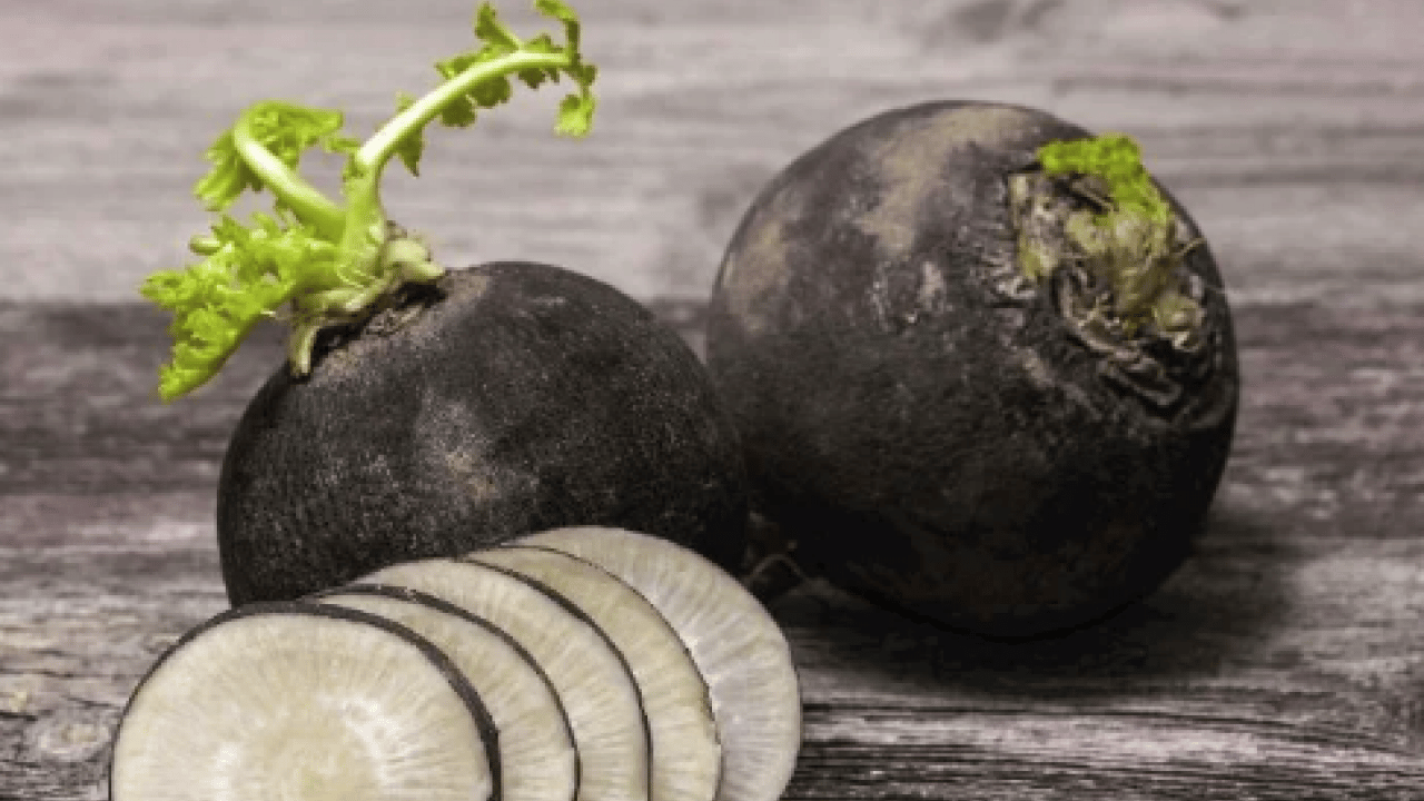 Antioksidan deposu, adını bilen yok: Bal döküp tüketin ve... Karaciğer yağlanmasının kökünü kurutuyor