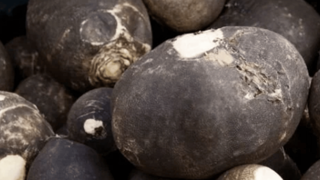 Foto - Antioksidan deposu, adını bilen yok: Bal döküp tüketin ve... Karaciğer yağlanmasının kökünü kurutuyor