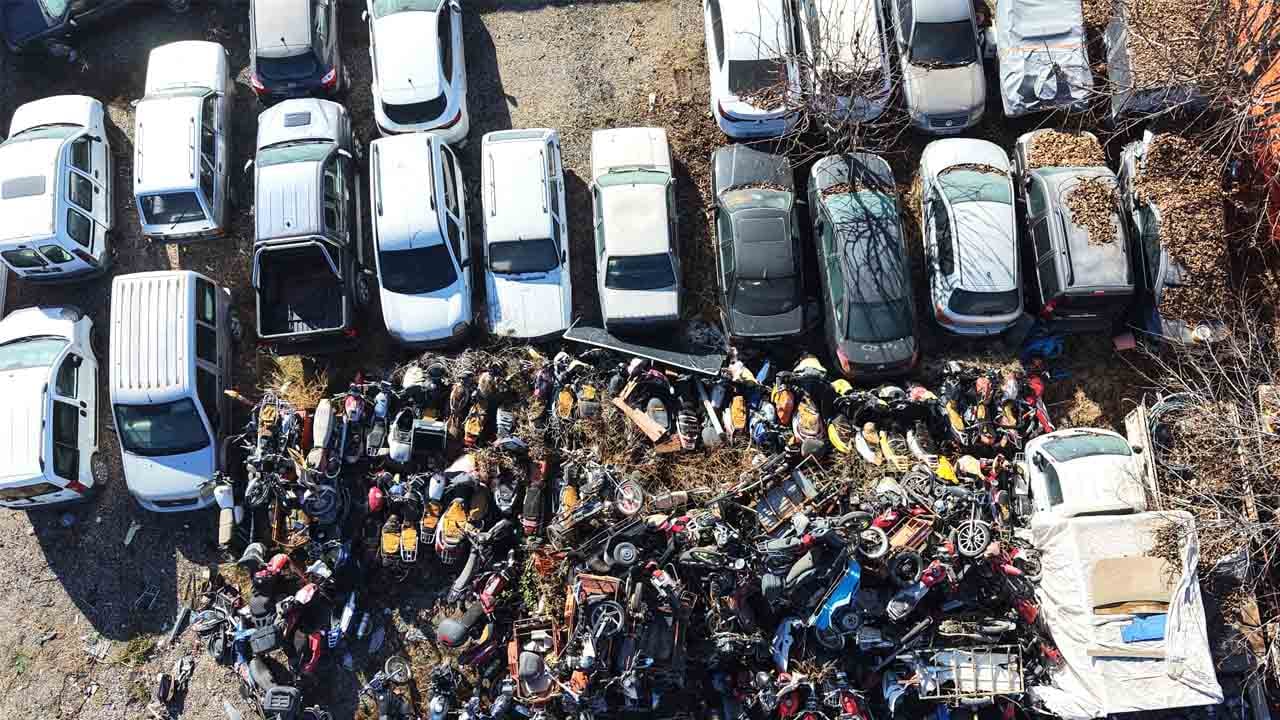 Araçların içinde ot yeşermeye başladı: Milli servet yosun tuttu